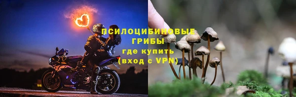 таблы Верхний Тагил