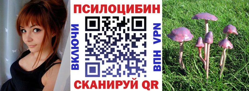 Псилоцибиновые грибы GOLDEN TEACHER  Гусиноозёрск 